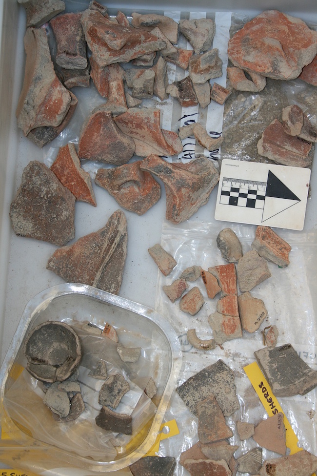 Figure 4: Bronze Age pottery sherds, excavated from a grain silo on top of Nuffara. Many of these fragments were rejoined by Prof. Bonanno-University of Malta.