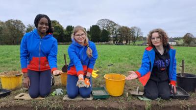 Excavation at Derrygonnelly