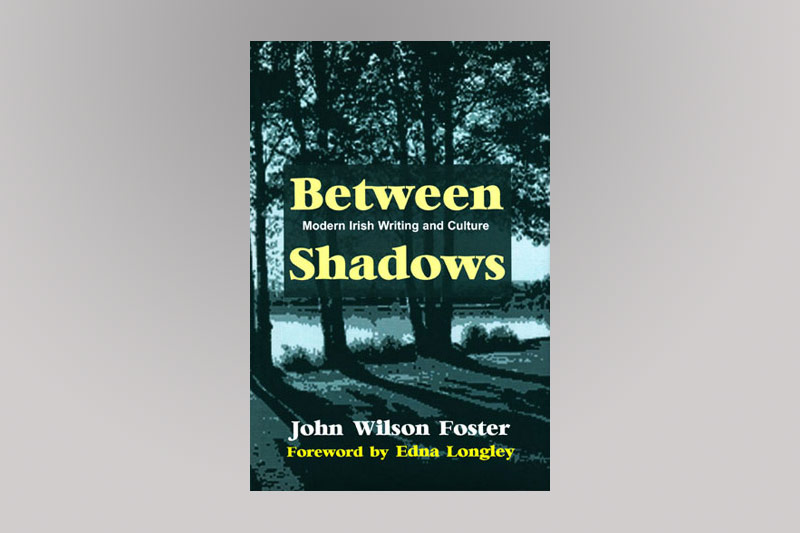 Between Shadows Book Cover