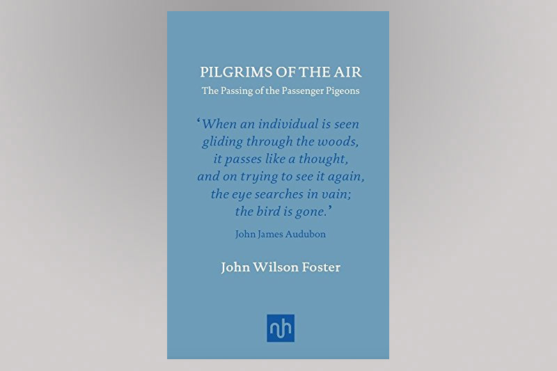 Pilgrims of the Air Book Cover
