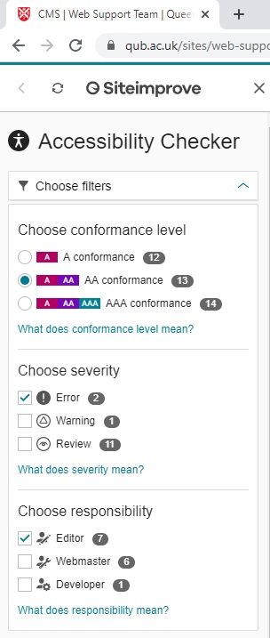 The list of filtered Accessibility options on the Siteimprove Chrome Plugin